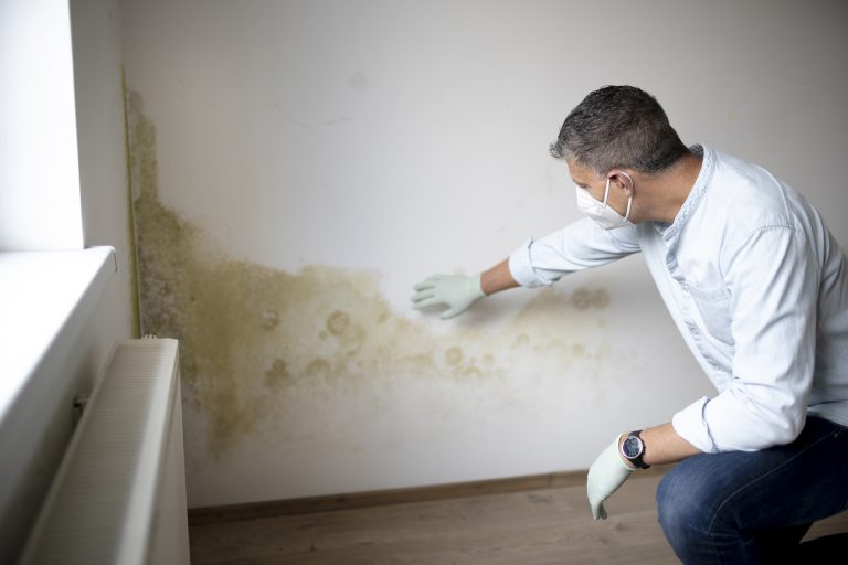 rising damp Grantham